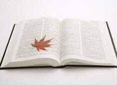 足球赛况：南美俱乐部在洲际比赛中脱颖而出