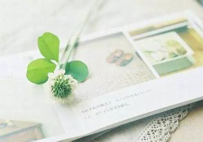 足球报告：北美球队在全球比赛中取得胜利