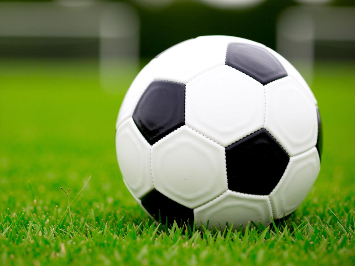 米兰app体育下载-亚冠联赛中国队逆袭 球迷现场气氛热烈，亚冠的中国球队