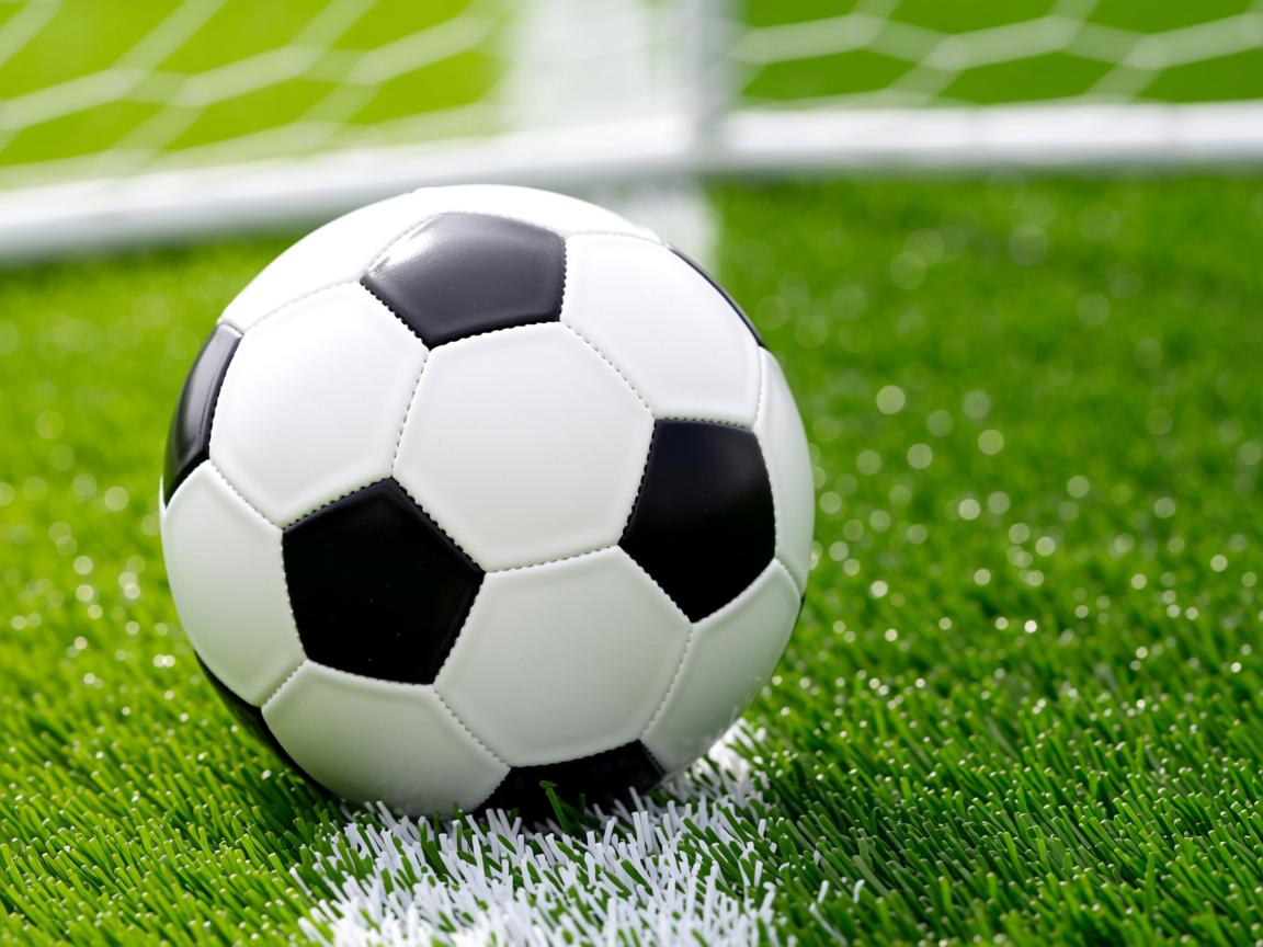 米兰体育app下载-布莱顿整体轮换保持强度不减，布莱顿ds